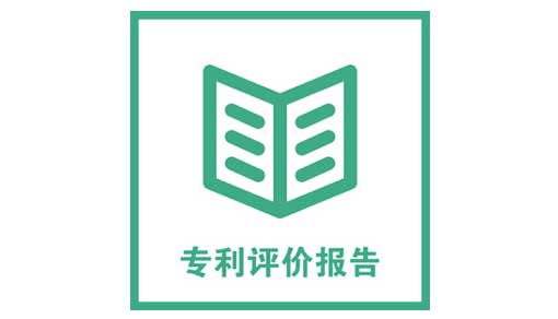 专利权评估报告